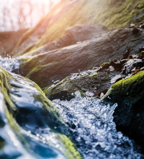 Classe enfant nature, eau et saumon en Auvergne